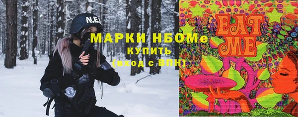 шишки Ельня