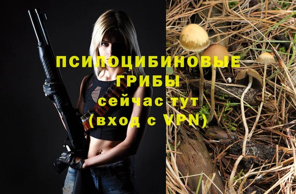 дурь Балахна